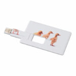 Pamięć USB 16GB w kształcie i rozmiarze karty kredytowej
